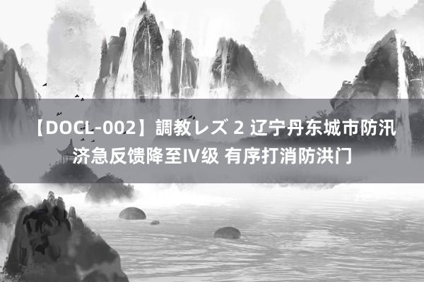 【DOCL-002】調教レズ 2 辽宁丹东城市防汛济急反馈降至Ⅳ级 有序打消防洪门