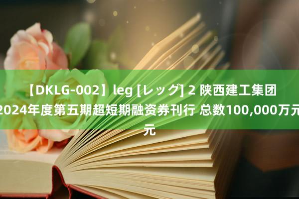 【DKLG-002】leg [レッグ] 2 陕西建工集团2024年度第五期超短期融资券刊行 总数100，000万元