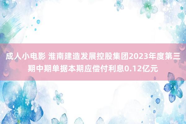 成人小电影 淮南建造发展控股集团2023年度第三期中期单据本期应偿付利息0.12亿元