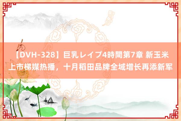 【DVH-328】巨乳レイプ4時間第7章 新玉米上市梯媒热播，十月稻田品牌全域增长再添新军