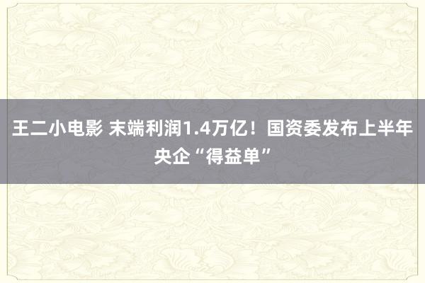 王二小电影 末端利润1.4万亿！国资委发布上半年央企“得益单”