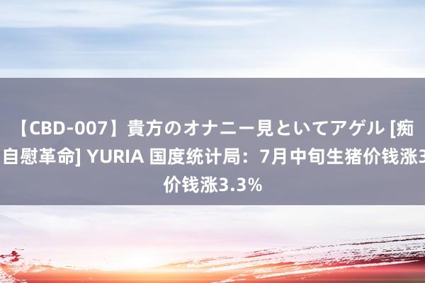 【CBD-007】貴方のオナニー見といてアゲル [痴的◆自慰革命] YURIA 国度统计局：7月中旬生猪价钱涨3.3%