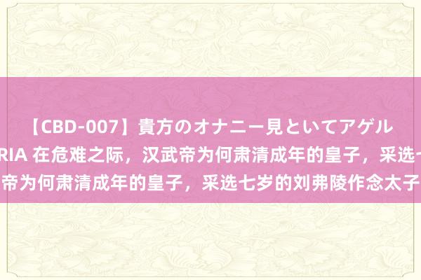 【CBD-007】貴方のオナニー見といてアゲル [痴的◆自慰革命] YURIA 在危难之际，汉武帝为何肃清成年的皇子，采选七岁的刘弗陵作念太子