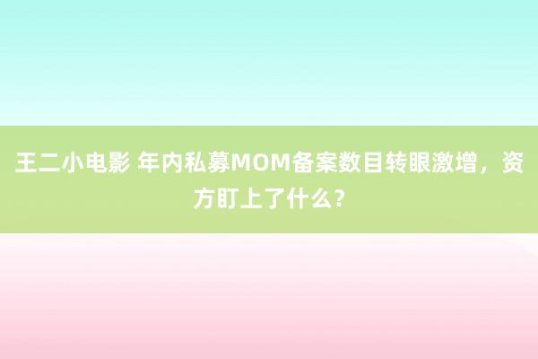 王二小电影 年内私募MOM备案数目转眼激增，资方盯上了什么？