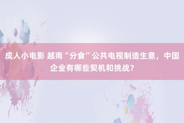 成人小电影 越南“分食”公共电视制造生意，中国企业有哪些契机和挑战？