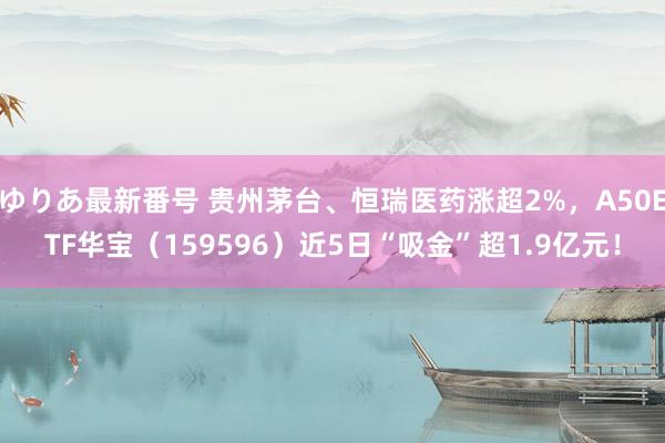 ゆりあ最新番号 贵州茅台、恒瑞医药涨超2%，A50ETF华宝（159596）近5日“吸金”超1.9亿元！