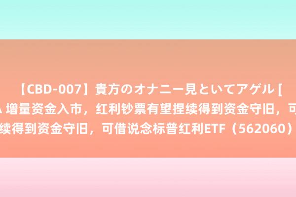 【CBD-007】貴方のオナニー見といてアゲル [痴的◆自慰革命] YURIA 增量资金入市，红利钞票有望捏续得到资金守旧，可借说念标普红利ETF（562060）一键布局