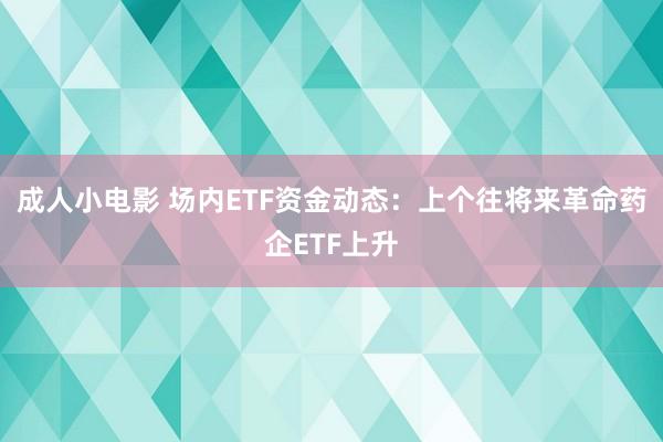 成人小电影 场内ETF资金动态：上个往将来革命药企ETF上升