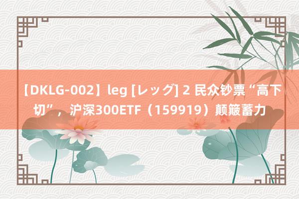 【DKLG-002】leg [レッグ] 2 民众钞票“高下切”，沪深300ETF（159919）颠簸蓄力