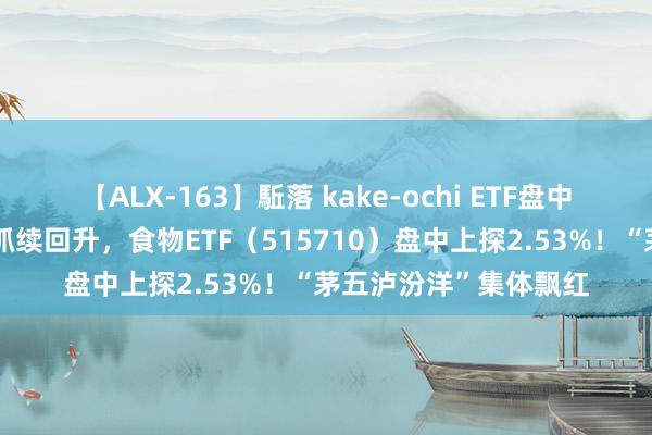 【ALX-163】駈落 kake-ochi ETF盘中资讯｜飞天茅台批价抓续回升，食物ETF（515710）盘中上探2.53%！“茅五泸汾洋”集体飘红