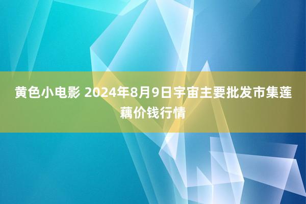 黄色小电影 2024年8月9日宇宙主要批发市集莲藕价钱行情