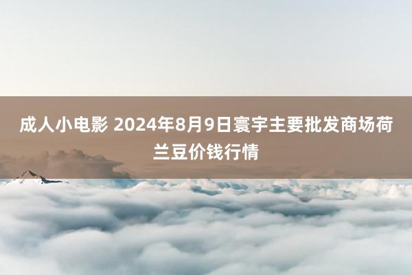 成人小电影 2024年8月9日寰宇主要批发商场荷兰豆价钱行情