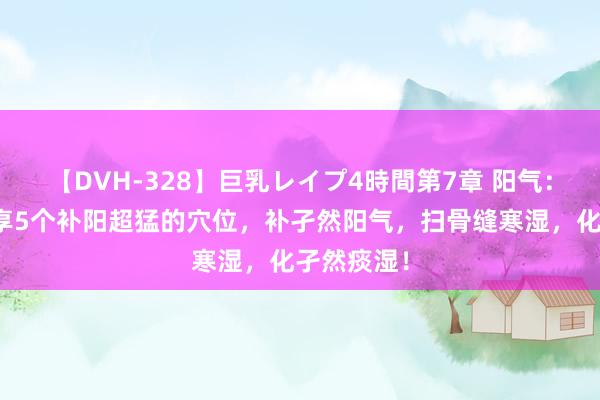 【DVH-328】巨乳レイプ4時間第7章 阳气：老中医共享5个补阳超猛的穴位，补孑然阳气，扫骨缝寒湿，化孑然痰湿！