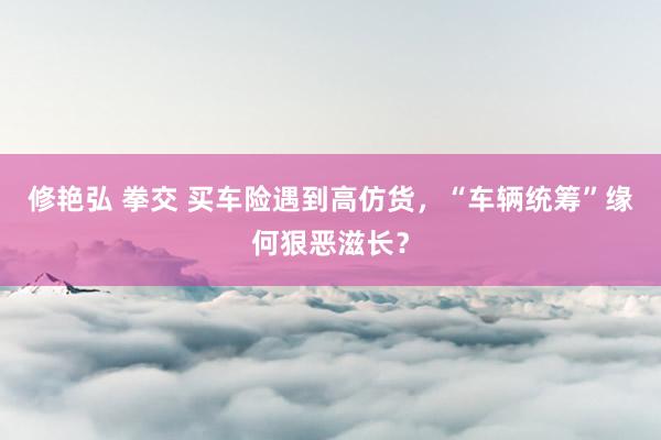 修艳弘 拳交 买车险遇到高仿货，“车辆统筹”缘何狠恶滋长？