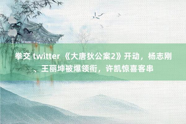 拳交 twitter 《大唐狄公案2》开动，杨志刚、王丽坤被爆领衔，许凯惊喜客串