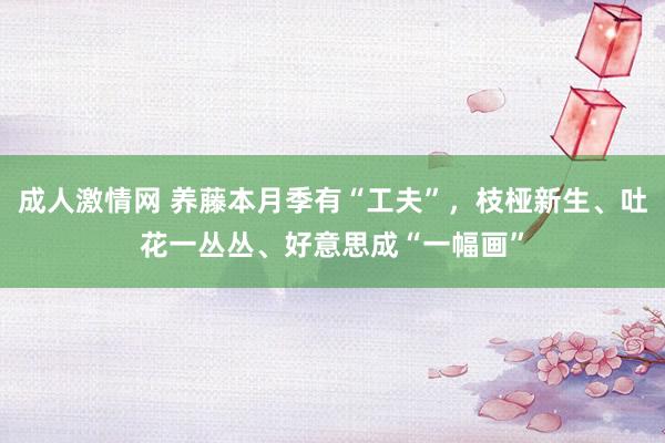 成人激情网 养藤本月季有“工夫”，枝桠新生、吐花一丛丛、好意思成“一幅画”