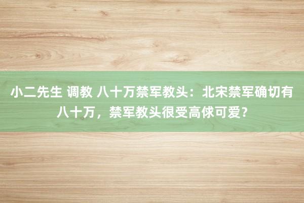 小二先生 调教 八十万禁军教头：北宋禁军确切有八十万，禁军教头很受高俅可爱？