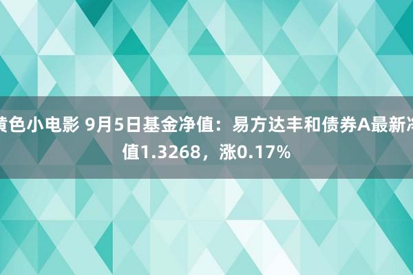 黄色小电影 9月5日基金净值：易方达丰和债券A最新净值1.3268，涨0.17%