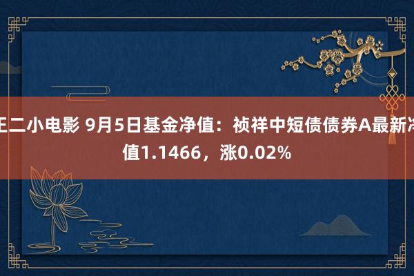 王二小电影 9月5日基金净值：祯祥中短债债券A最新净值1.1466，涨0.02%