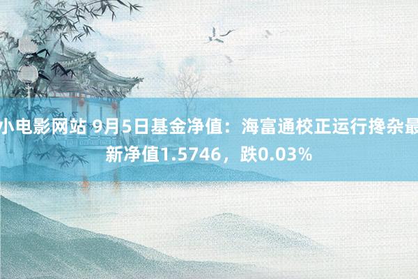 小电影网站 9月5日基金净值：海富通校正运行搀杂最新净值1.5746，跌0.03%