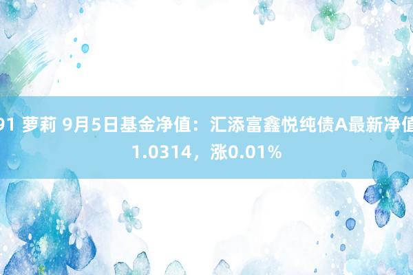 91 萝莉 9月5日基金净值：汇添富鑫悦纯债A最新净值1.0314，涨0.01%