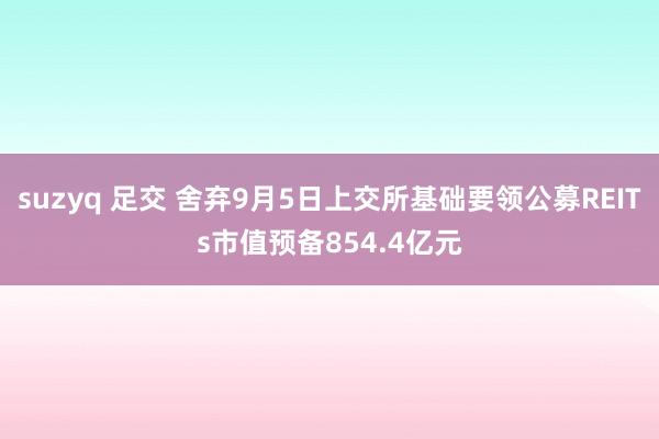 suzyq 足交 舍弃9月5日上交所基础要领公募REITs市值预备854.4亿元