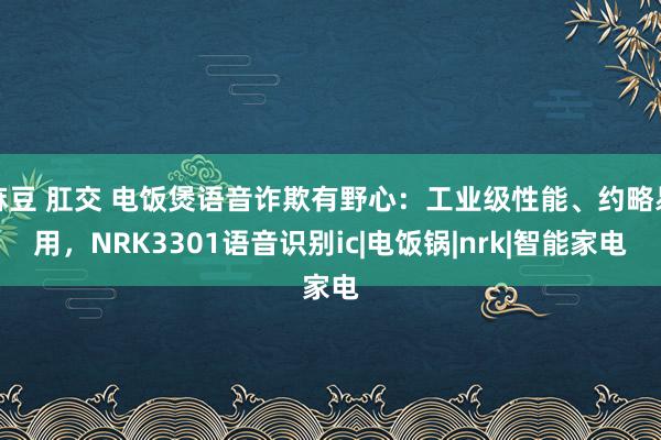 麻豆 肛交 电饭煲语音诈欺有野心：工业级性能、约略易用，NRK3301语音识别ic|电饭锅|nrk|智能家电