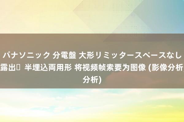 パナソニック 分電盤 大形リミッタースペースなし 露出・半埋込両用形 将视频帧索要为图像 (影像分析)