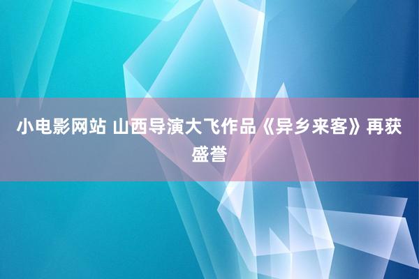 小电影网站 山西导演大飞作品《异乡来客》再获盛誉