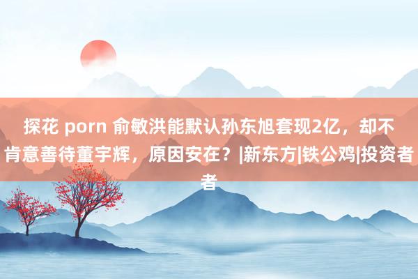 探花 porn 俞敏洪能默认孙东旭套现2亿，却不肯意善待董宇辉，原因安在？|新东方|铁公鸡|投资者